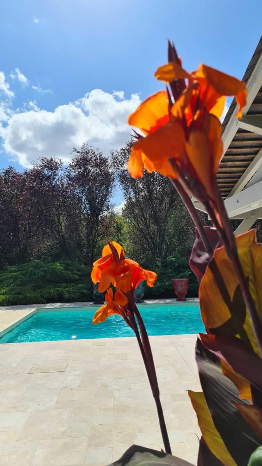 Domaine De La Blonnerie Bed & Breakfast Feings  Exterior photo