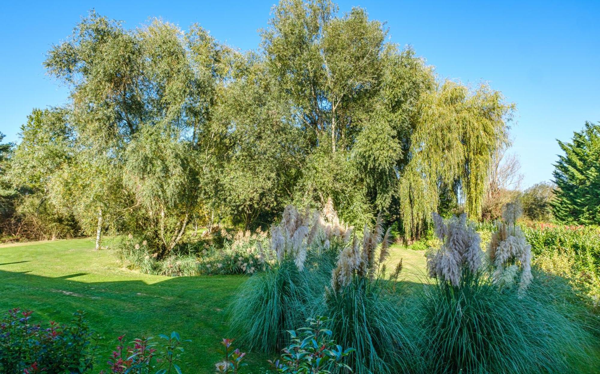 Domaine De La Blonnerie Bed & Breakfast Feings  Exterior photo